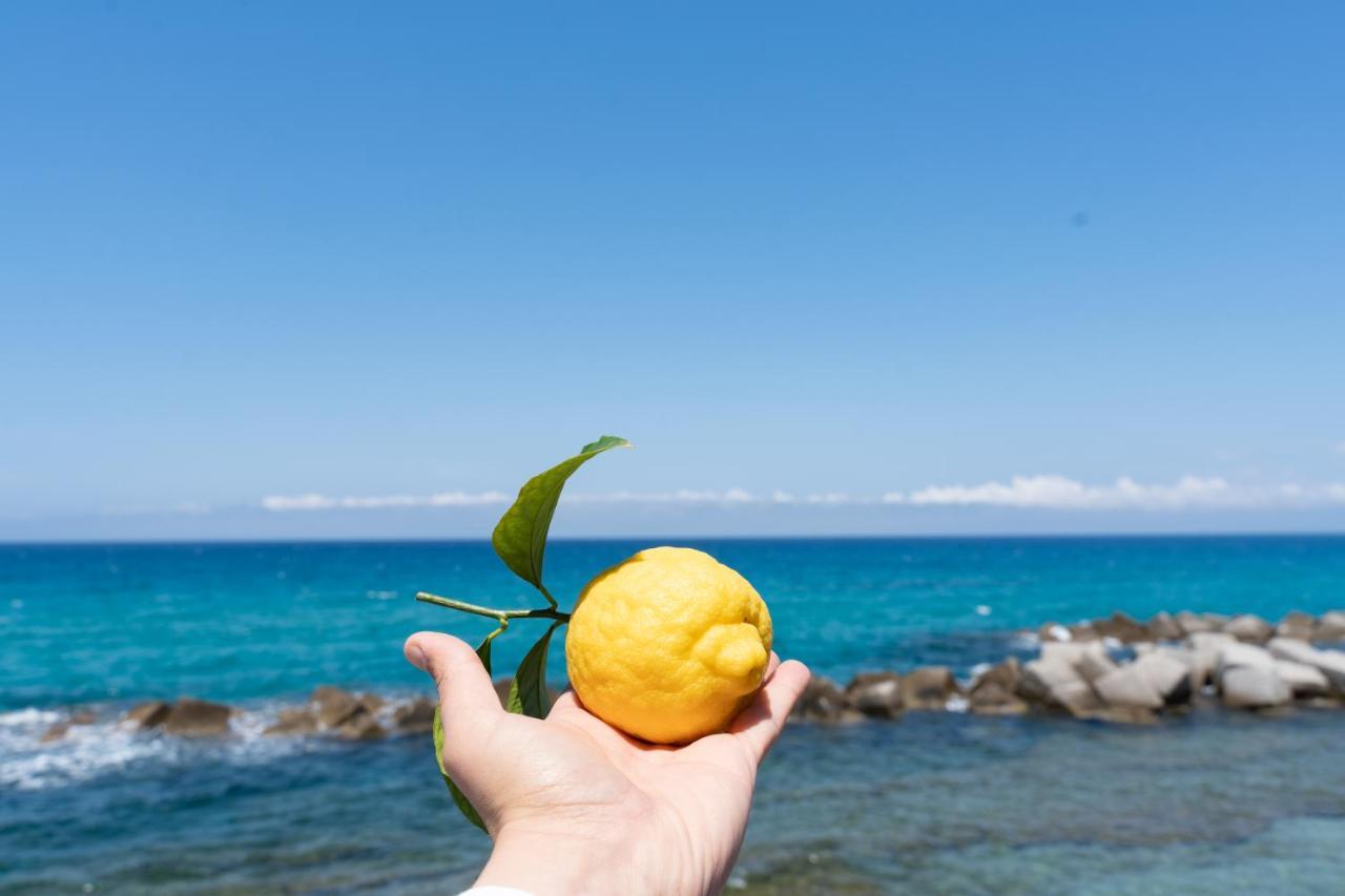 Appartamento Pettinato Pizzo  Buitenkant foto